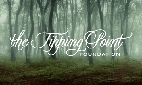 The Tipping Point Foundation: Website and AI generated header visual